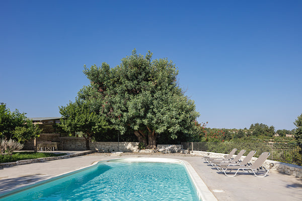 Twisting blooms clambering around windows, an orchard bountiful with fruit and h Greece Mithonies Villa, a nature inspiring retreat! Entire villa vacation rental 52144823