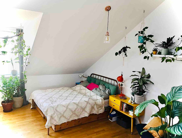 Beautiful bright roof top apartment on the 5th (top) floor with balcony, automat Vienna, Austria Bright roof top apartment in the heart of vienna Entire rental unit vacation rental 17446144