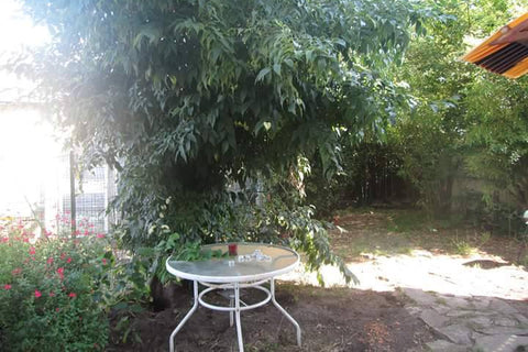 Bonjour<br />Je propose une chambre!  Proximité  tous les services. Bus, tram, v Bordeaux, France Chambre à louer. Private room in home vacation rental 24215090