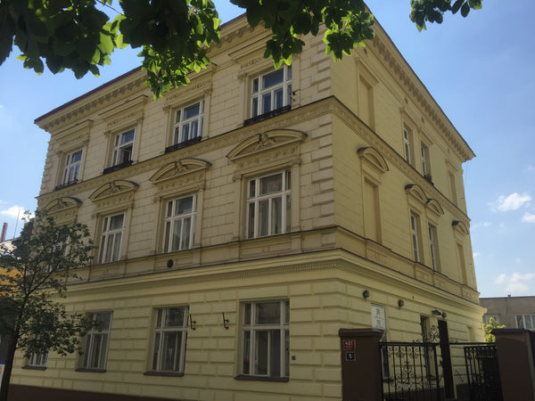 Spatious one bedroom apartment on the first floor with the windows oriented to t  Apartment Vinohrady Prague Entire rental unit vacation rental 12879539