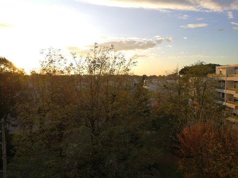Chambre privée dans appartement au calme, A 15 min du centre en transport (bus 5 Bordeaux, France Chambre lumineuse au calme chez Kit et John Private room in condo vacation rental 21831900