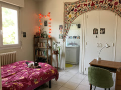 Grande chambre avec salle de bain privée, lumineuse. <br /><br />L'appartement e Toulouse, France Chambre avec sdb privée proche gare saint-Jean Private room in rental unit vacation rental 19379268