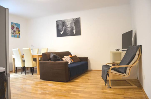 Charming rennweg 1 bedroom apt Entire rental unit vacation rental 43772466