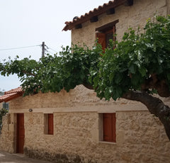 Manor house in a quiet village which is in the middle of Crete so your transport  Marisa's House Entire townhouse vacation rental 24857992