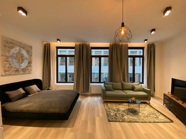 Nouveau Studio 2022 à 800m de la grand place de Bruxelles <br /><br />New Studio Brussels, Belgium New @ the Grand Place * Entire rental unit vacation rental 599676224294414374
