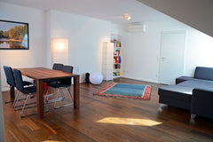 Bright and modern Penthouse with spacious terrace!<br /><br />Located next to th Vienna, Austria Bright and modern Penthouse with spacious terrace! Entire rental unit vacation rental 17696531