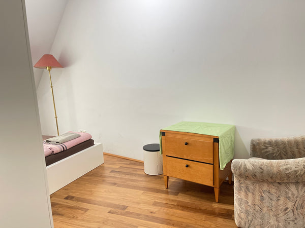 Nice Rooftop apartment with Balcony in the historical center -excellent area - g Austria Rooftop Room 2. Private room in rental unit vacation rental 634043448767747982