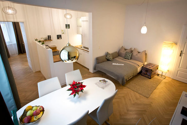The very spacious and just recently renovated 49 m2 City-apartment in good locat Vienna, Austria NEW perfect place to stay in Vienna Entire rental unit vacation rental 14881983