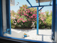 The house has a bedroom,living room,kitchen ,bathroom and terrace with garden vi Kalafati, Greece Garden view house Entire rental unit vacation rental 24715136