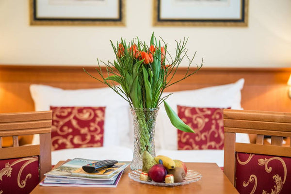 <b>The space</b><br />Sie können unsere PENSION sowohl über Stufen, als auch übe Vienna, Austria City Pension Stephansplatz Private room in pension vacation rental 28328072