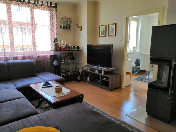 90 m2  renovated apartment 10 minutes away from the center of vienna. right in f Vienna, Austria Large apartment near city center Entire rental unit vacation rental 39287298