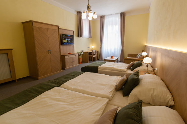Karlova 25 Apartments has been welcoming guests since 2012.<br />Set in a unique  One Bedroom Apartment (#3), Karlova 25 Apartments Entire rental unit vacation rental 13181016