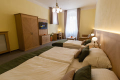 Karlova 25 Apartments has been welcoming guests since 2012.<br />Set in a unique  One Bedroom Apartment (#3), Karlova 25 Apartments Entire rental unit vacation rental 13181016