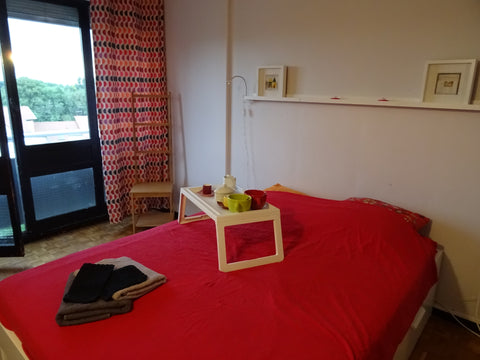 Bonjour<br />Je vous propose une chambre (à partir de 3 adultes je propose en pl Lyon, France Chambre sur les hauteurs de Lyon (Fourvière) Private room in condo vacation rental 19664258