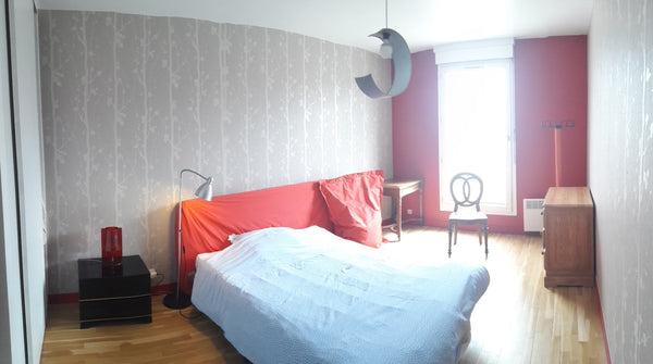 Après un an de suspension d’accueil pour raisons familiales, une grande chambre  Lyon, France Agréable chambre au cœur de Lyon Private room in rental unit vacation rental 18730834