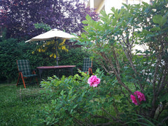 Near Airport - independent fully equipped flat in a villa with a large garden, w Czechia Cosy garden apartment, Hanspaulka Entire condo vacation rental 20810506