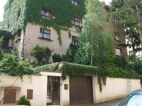 velke svetle pokoje s vlastni koupelnou. jidelna s terasou a vstupem na zahradu<  pension vysehrad Private room in home vacation rental 24637483