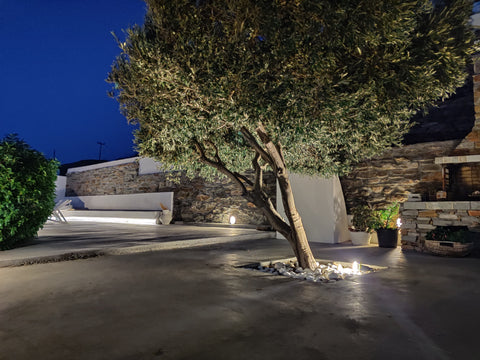 A relaxing traditional villa just 350m distance from the sea.<br /><br /><b>The  Greece Elia Beach House Entire home vacation rental 8396759