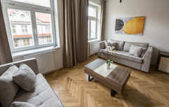 150 meters away from Letna Park. Long stay from 1 to 12 month rate available. A   Lovely one bedroom  nearby the technical museum Entire rental unit vacation rental 53683112