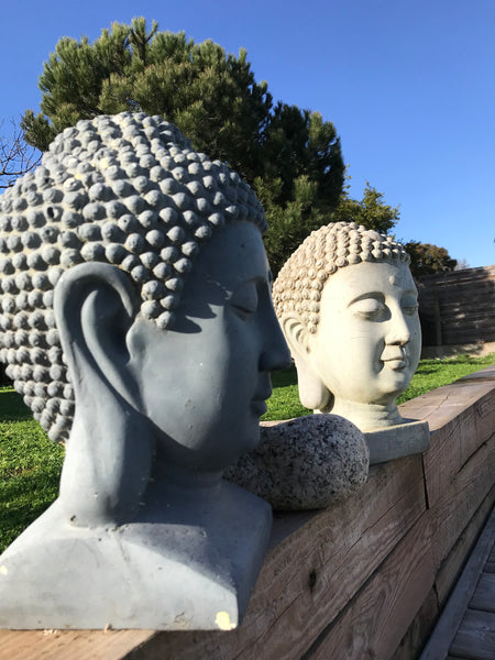 Maison individuelle au calme avec piscine privée .Très grand parking  et portail Ambarès-et-Lagrave, France Les BOUDDHAS (anciennement Maison Zen Attitude) Private room in home vacation rental 48262974