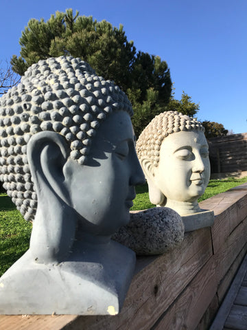 Maison individuelle au calme avec piscine privée .Très grand parking  et portail Ambarès-et-Lagrave, France Les BOUDDHAS (anciennement Maison Zen Attitude) Private room in home vacation rental 48262974