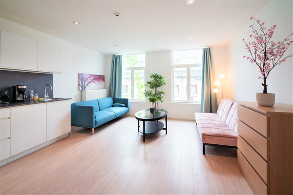 Right in the historic heart of Antwerp, we host a fully equipped, ultra renovate Antwerp, Belgium The Fashion Street Residence 2 Entire rental unit vacation rental 48388987