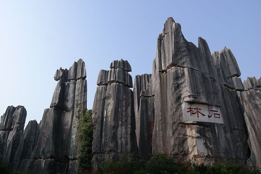 1 Day Stone Forest and Jiuxiang Cave with Roast Duck Charge by Vehicle  Private Tours and Travel Guide Asia Shanghai CITY Kunming Destination Tour