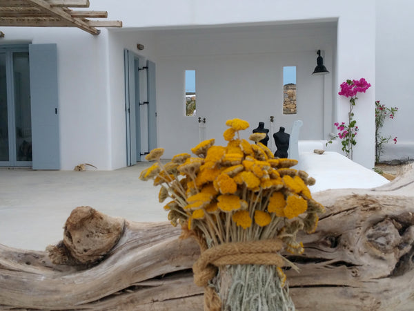 Koufonissi est une île des petites cyclades blottie entre Amorgos et Naxos, répu Athens, Greece SÉLÉNÉ - 6 pers - au coeur de Koufonisia Entire home vacation rental 14759587