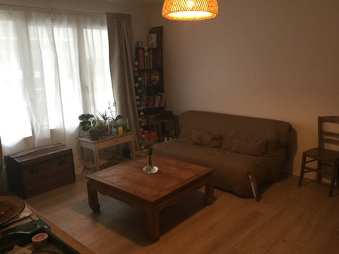 Nous vivons dans un appartement de 50m2 proche de la place de la Nation. Point d Tours, France Appartement 2 à 4 personnes, proche toute facilité Entire rental unit vacation rental 24276862