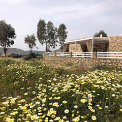 House Aegean View is ideal for families who want to spend relaxing holidays clos Greece House Aegean View Entire home vacation rental 24795943