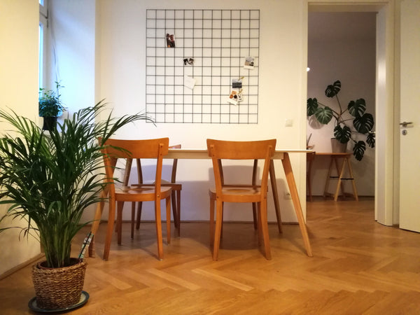 If you like plants as much as I do, you are very welcome!<br /><br /><b>The spac Vienna, Austria Stylish & Green Apartment close to City Centre Entire rental unit vacation rental 21709821
