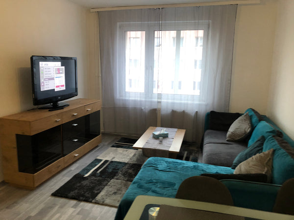 Amazing  Apartment Location 30M to all Transports Entire rental unit vacation rental 46219435