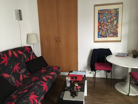 One bedroom apartment in the heart of Montorgueil neighborhood with a cozy livin Paris, France One bedroom apartment in Central Paris Entire rental unit vacation rental 24734213