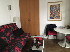 One bedroom apartment in the heart of Montorgueil neighborhood with a cozy livin Paris, France One bedroom apartment in Central Paris Entire rental unit vacation rental 24734213