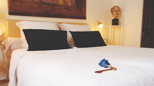 Hand picked by Lonely Planet's mystery client and Marco Polo guidebooks !<br />< Bordeaux, France Blue Lodge B&B | protected area | 330630003114E Private room in bed and breakfast vacation rental 777417