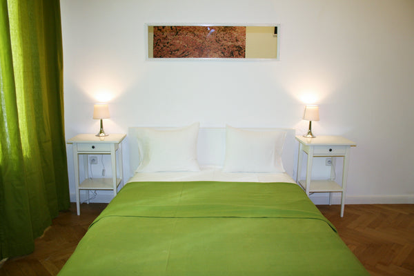 Located in the historical center of Prague in a quiet street near the National T Prague, Czechia Apartment Lea Entire rental unit vacation rental 12349970
