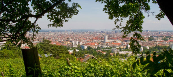 The apartment is newly renovated, has two separate rooms, cozy bedroom, new kitc Vienna, Austria Cozy Vienna 