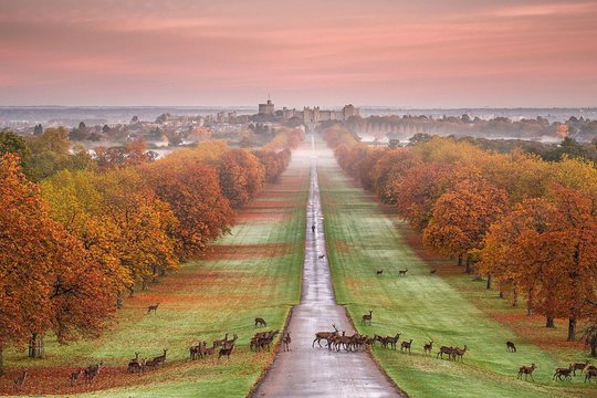 Small Group Tour to Windsor Town and Entry to Stonehenge  Private Tours and Travel Guide Europe London CITY London Destination Tour