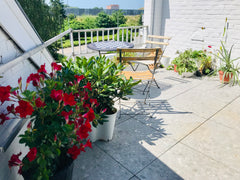  Ghent, Belgium Minimalist apartment with a terrace Entire rental unit vacation rental 38323253