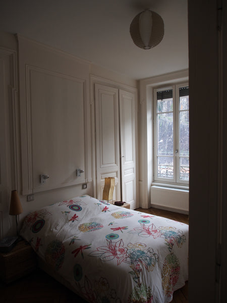 Nous sommes situés au coeur du quartier historique de Lyon et profitons d'une vu Lyon, France Chambre de caractère au coeur du Vieux Lyon Private room in rental unit vacation rental 16225474