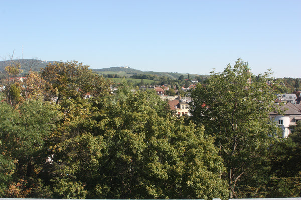 Hi, you can spend your holiday in my apartment in Vienna. It is located in the 1 Vienna, Austria Beautiful apartment in 1190 Vienna! Entire rental unit vacation rental 3913417