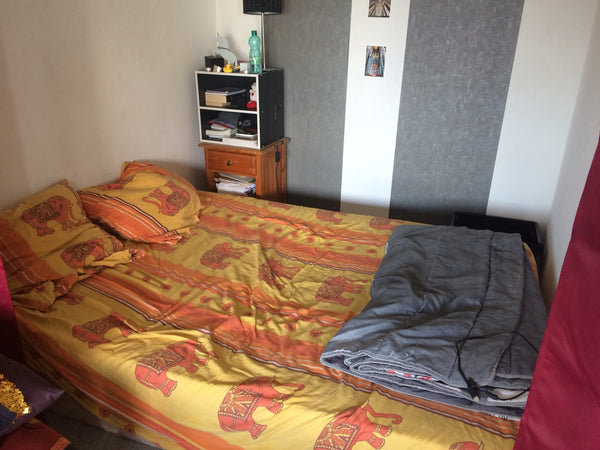 T1 bis 28m2 très lumineux exposé plein sud <br />Un grand séjour avec un coin ch Bordeaux, France T1 bis Bordeaux (10min du centre-ville) Entire condo vacation rental 25288870