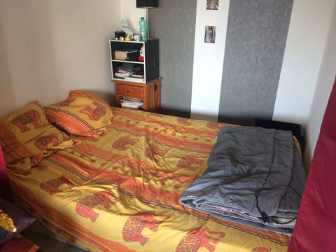 T1 bis 28m2 très lumineux exposé plein sud <br />Un grand séjour avec un coin ch Bordeaux, France T1 bis Bordeaux (10min du centre-ville) Entire condo vacation rental 25288870