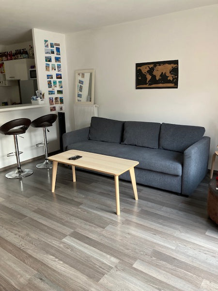 Appartement T2 entier de 48 m2 situé au coeur du nouveau quartier moderne de Bor New York, NY Logement entier : appartement Bassins à flots Entire rental unit vacation rental 617372499794140171