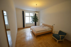 This really roomy apartment (90 sq m) in the Prague 2 district with 3 separate r Prague, Czechia Large apartment in the city center Entire rental unit vacation rental 4057103