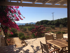 New autonomous stone luxury villa 70m2,10m near the beach,6000m plot, large vera Antiparos, Greece Stone-house 2 Entire villa vacation rental 3359762