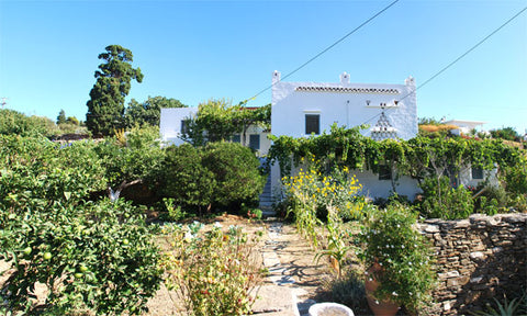 "Perivoli" is a beautiful and peaceful complex of stone buildings, which is situ Greece PERIVOLI ROOM 1 - ANO PETALI SIFNOS Private room in home vacation rental 11051390