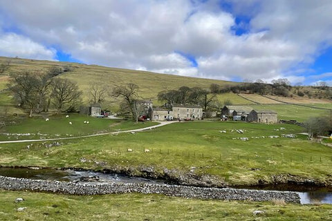 Private "All Creatures Great and Small" Yorkshire Dales Tour from York  Private Tours and Travel Guide Europe London CITY York Destination Tour Europe London CITY York