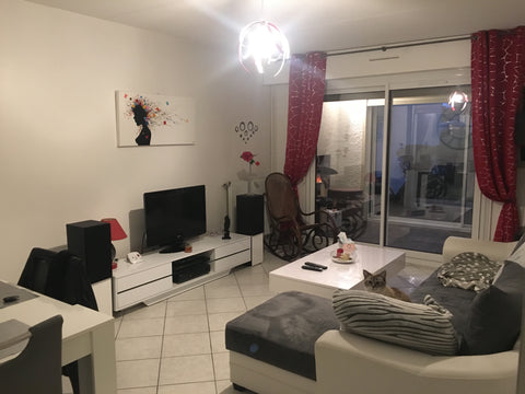 Chat sur place durant votre séjour. Si vous êtes allergique ou n’aimez pas les a Bordeaux, France Logement 4 personnes T2 - 75m2 Entire condo vacation rental 29540198