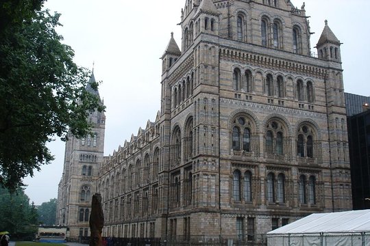 A Day at the Museum Natural History Museum London  Private Tours and Travel Guide Europe London CITY London Destination Tour